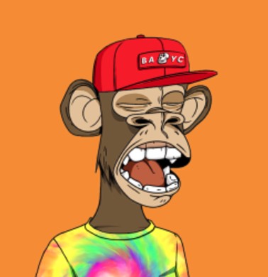 Screenshot 2022-11-23 at 10.42.14 AM.png 378